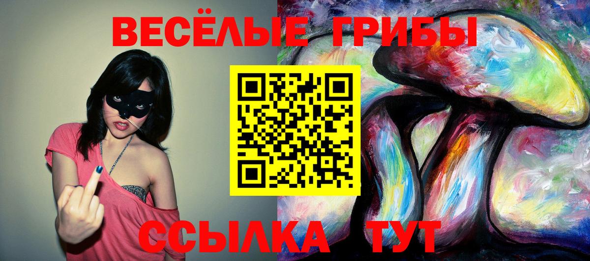 Котовск  Псилоцибиновые грибы Psilocybe  Вход с VPN 
