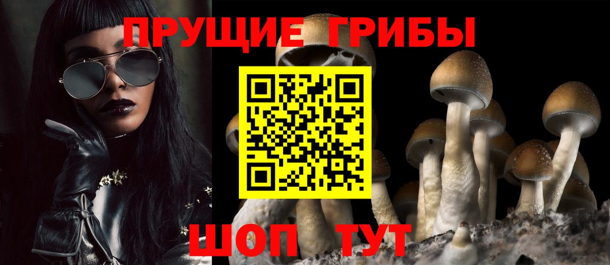 купить  сайты  Котовск  Псилоцибиновые грибы Psilocybine cubensis 