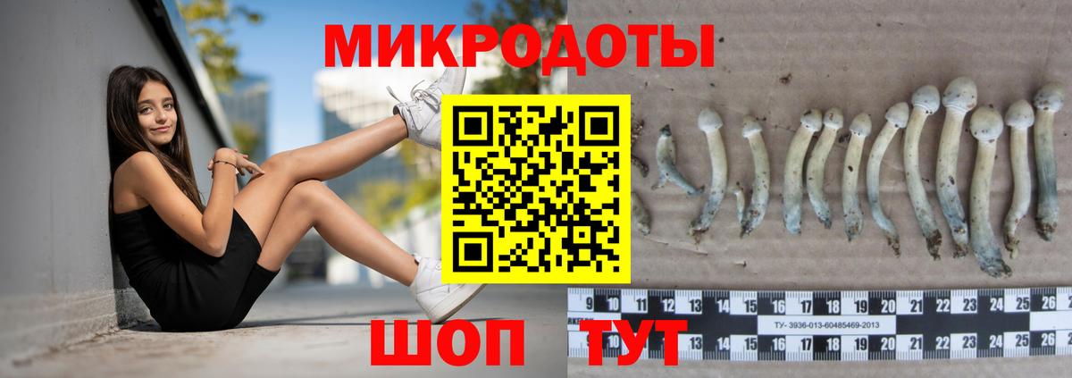 Псилоцибиновые грибы Magic Shrooms Котовск